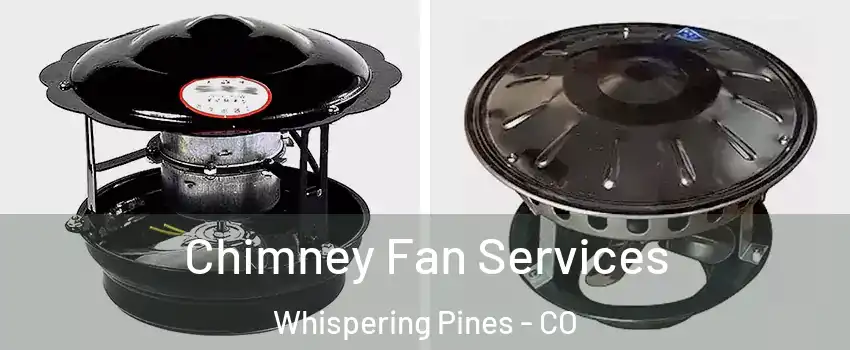 Chimney Fan Services Whispering Pines - CO