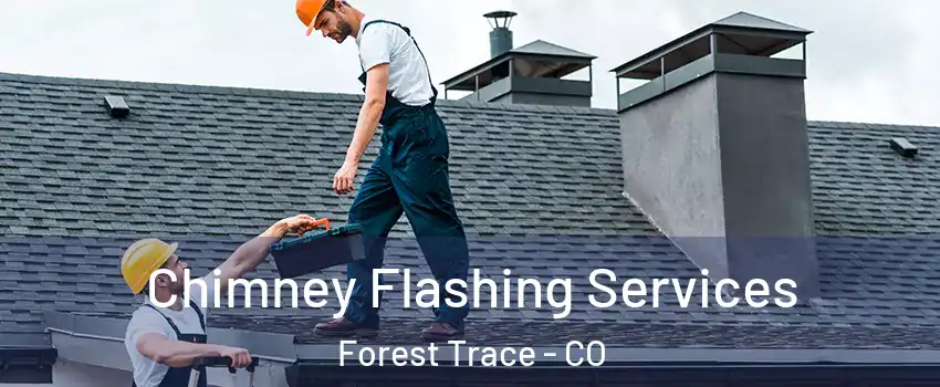 Chimney Flashing Services Forest Trace - CO