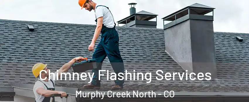 Chimney Flashing Services Murphy Creek North - CO