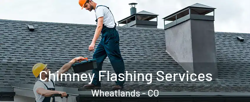 Chimney Flashing Services Wheatlands - CO