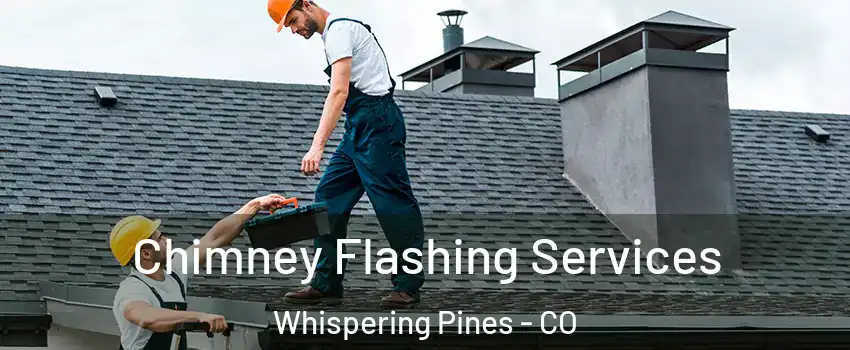 Chimney Flashing Services Whispering Pines - CO