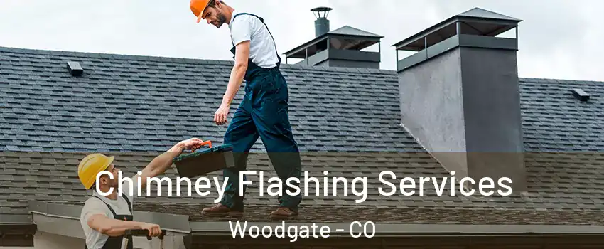 Chimney Flashing Services Woodgate - CO