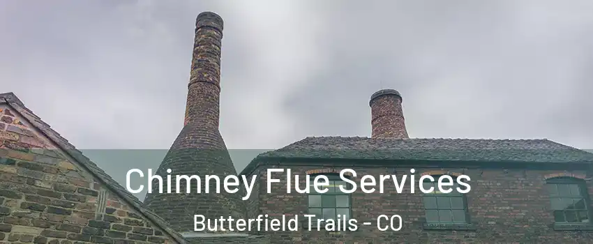 Chimney Flue Services Butterfield Trails - CO