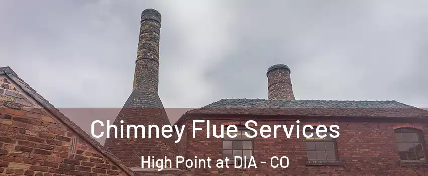 Chimney Flue Services High Point at DIA - CO
