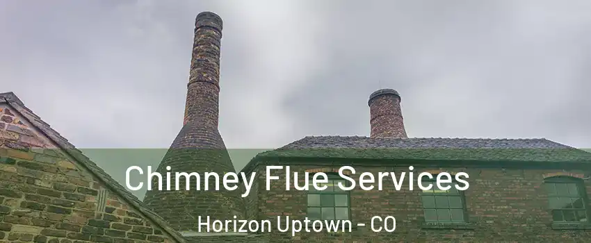 Chimney Flue Services Horizon Uptown - CO