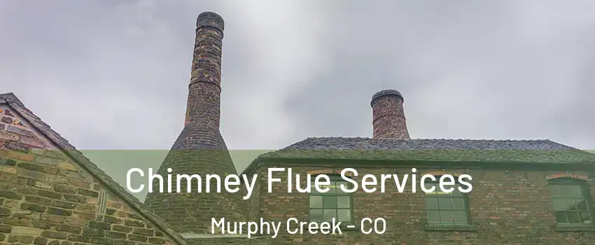 Chimney Flue Services Murphy Creek - CO