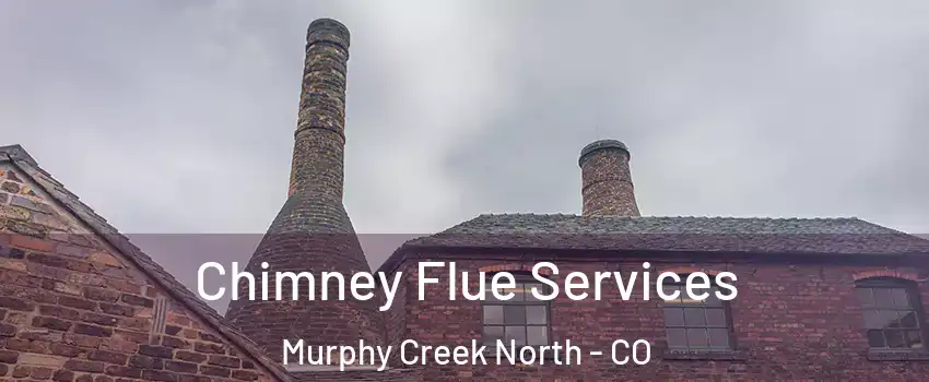 Chimney Flue Services Murphy Creek North - CO