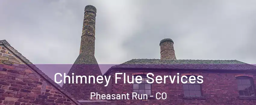 Chimney Flue Services Pheasant Run - CO