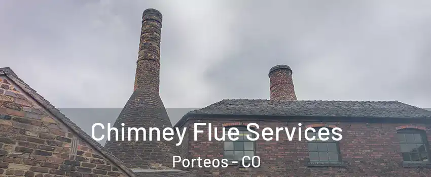 Chimney Flue Services Porteos - CO