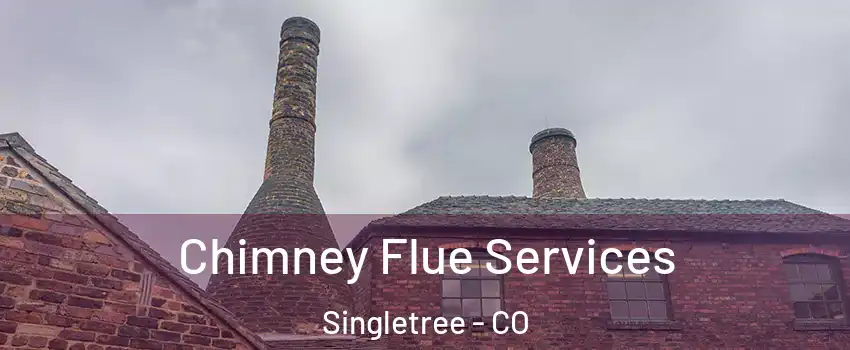 Chimney Flue Services Singletree - CO