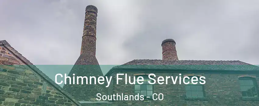 Chimney Flue Services Southlands - CO