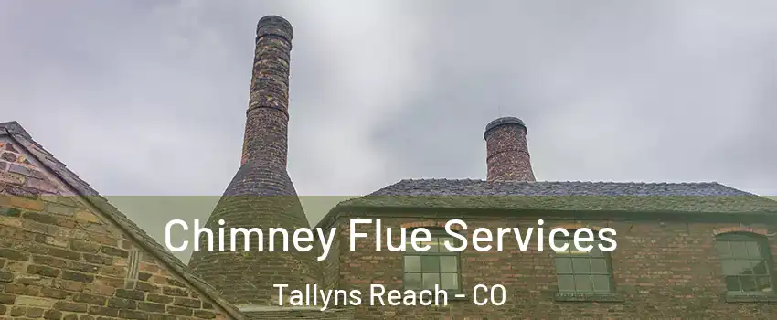 Chimney Flue Services Tallyns Reach - CO