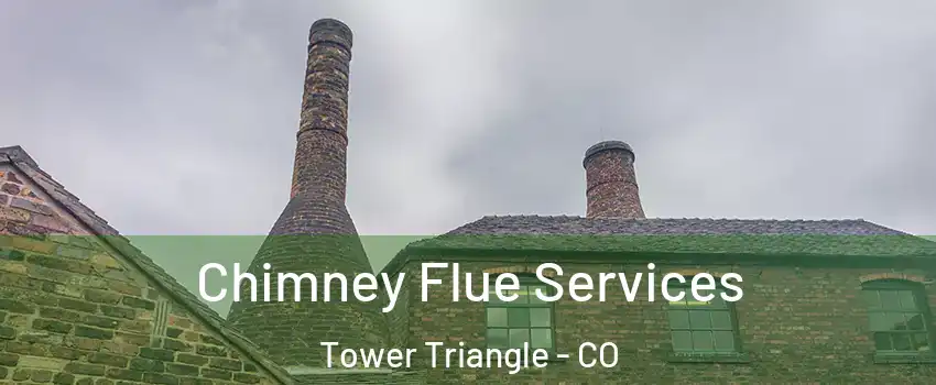Chimney Flue Services Tower Triangle - CO