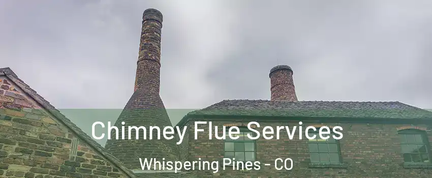 Chimney Flue Services Whispering Pines - CO