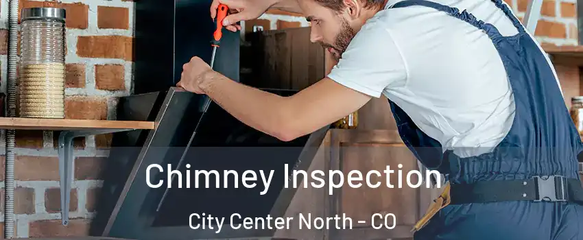 Chimney Inspection City Center North - CO