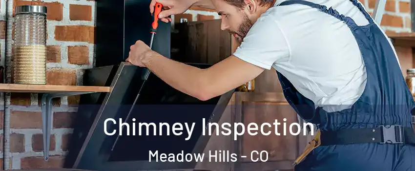 Chimney Inspection Meadow Hills - CO