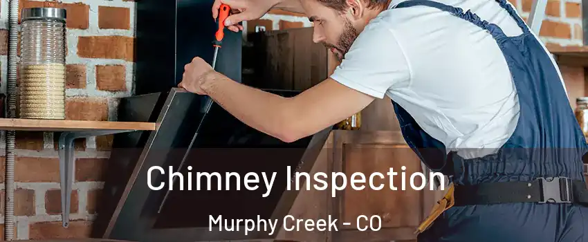 Chimney Inspection Murphy Creek - CO