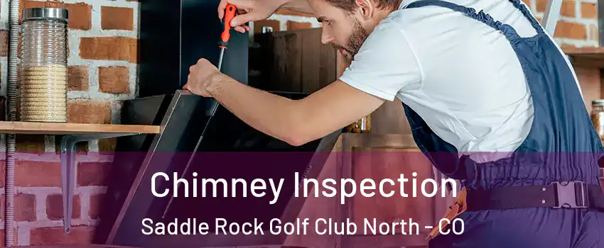 Chimney Inspection Saddle Rock Golf Club North - CO