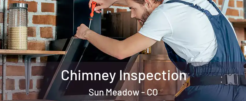 Chimney Inspection Sun Meadow - CO