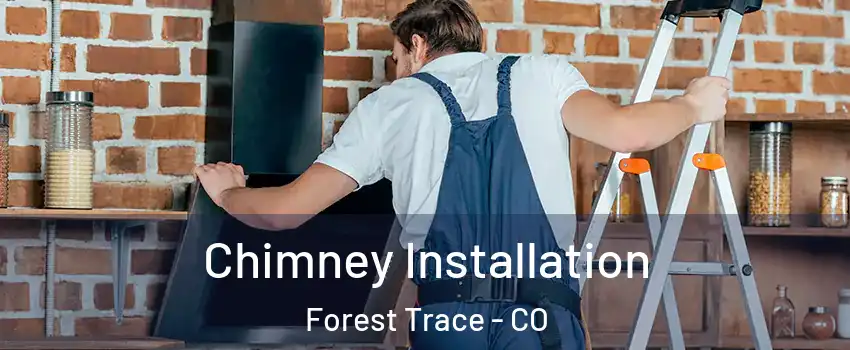 Chimney Installation Forest Trace - CO