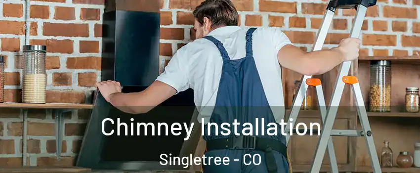 Chimney Installation Singletree - CO