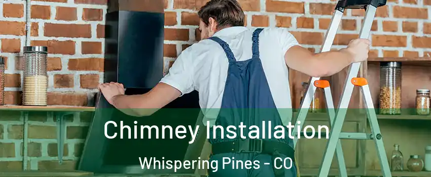 Chimney Installation Whispering Pines - CO