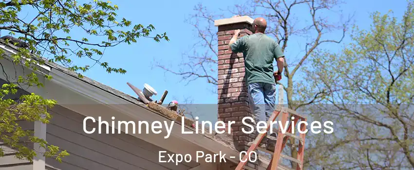 Chimney Liner Services Expo Park - CO