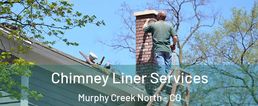 Chimney Liner Services Murphy Creek North - CO
