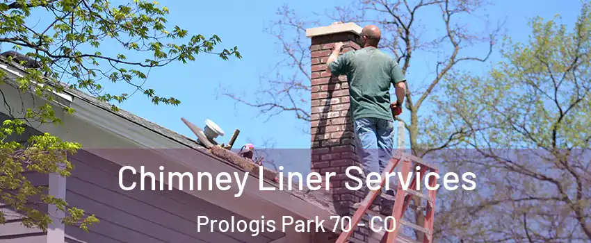 Chimney Liner Services Prologis Park 70 - CO