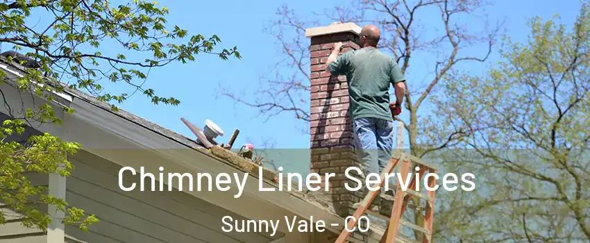 Chimney Liner Services Sunny Vale - CO