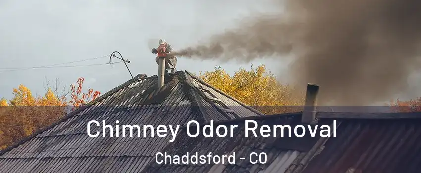 Chimney Odor Removal Chaddsford - CO