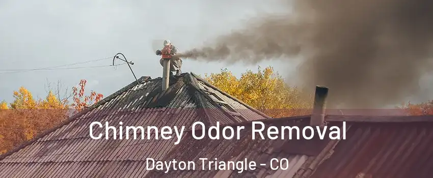 Chimney Odor Removal Dayton Triangle - CO