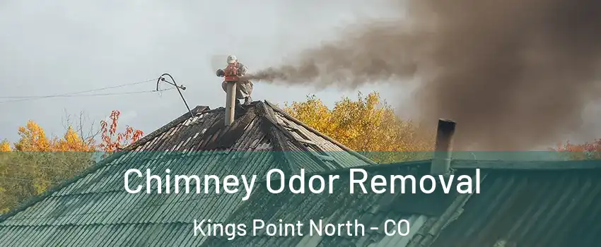 Chimney Odor Removal Kings Point North - CO