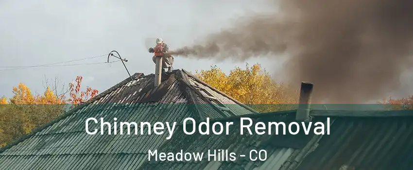 Chimney Odor Removal Meadow Hills - CO