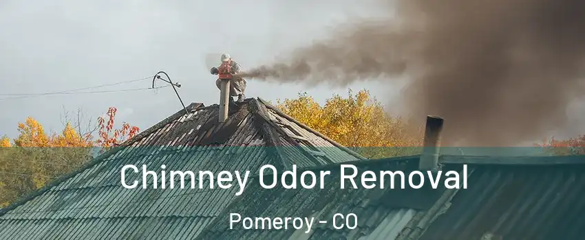 Chimney Odor Removal Pomeroy - CO