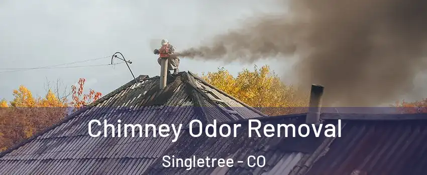Chimney Odor Removal Singletree - CO