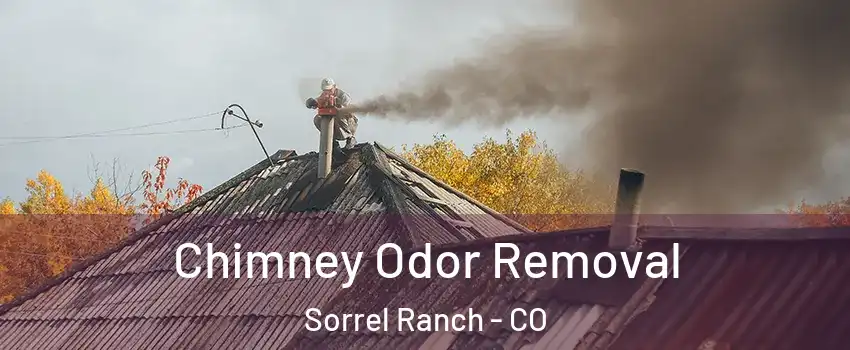 Chimney Odor Removal Sorrel Ranch - CO