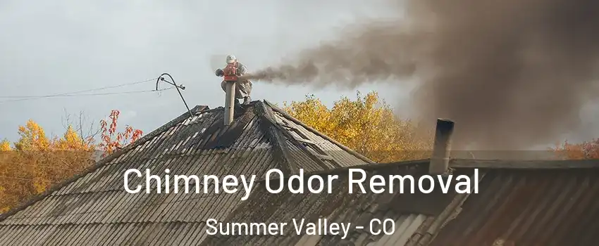 Chimney Odor Removal Summer Valley - CO