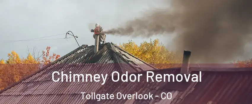 Chimney Odor Removal Tollgate Overlook - CO