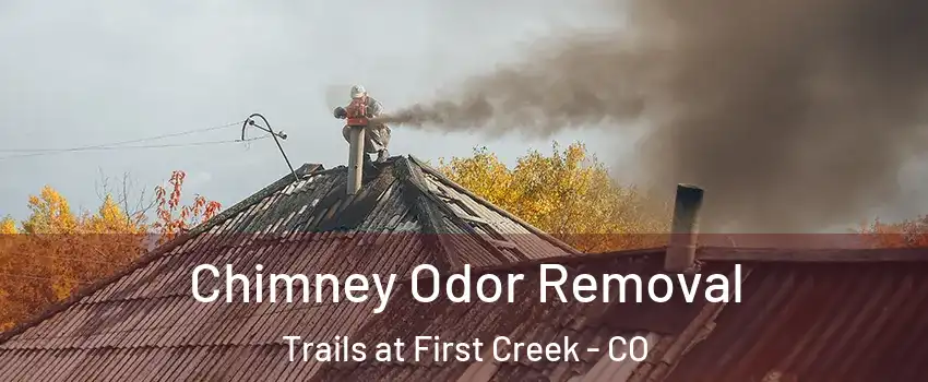 Chimney Odor Removal Trails at First Creek - CO