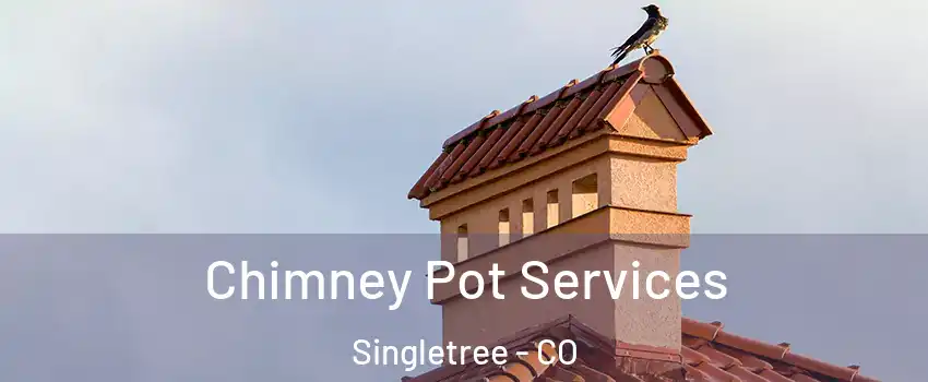 Chimney Pot Services Singletree - CO