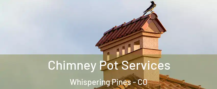 Chimney Pot Services Whispering Pines - CO