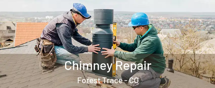 Chimney Repair Forest Trace - CO