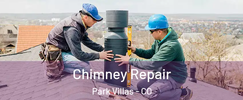 Chimney Repair Park Villas - CO