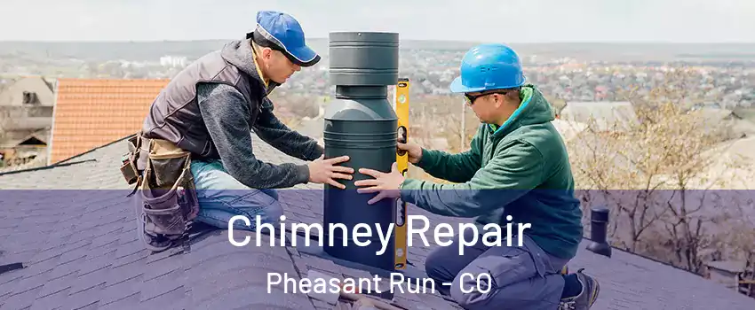 Chimney Repair Pheasant Run - CO