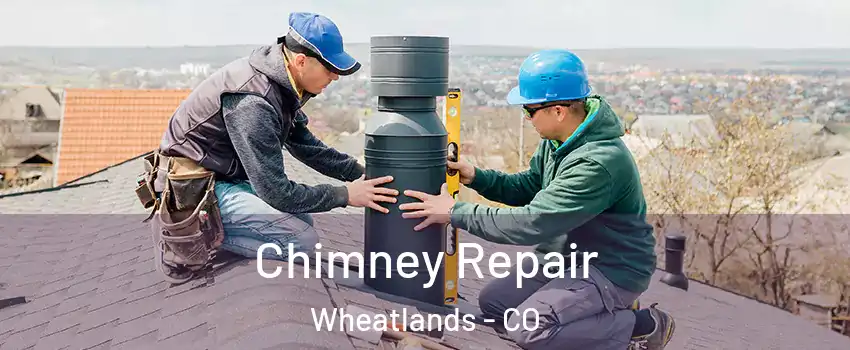 Chimney Repair Wheatlands - CO