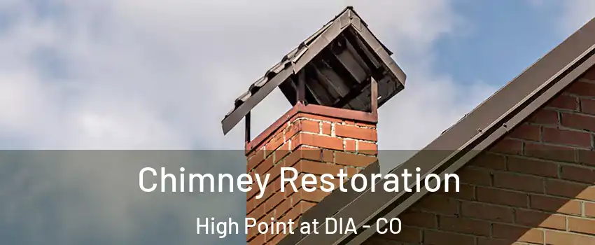 Chimney Restoration High Point at DIA - CO