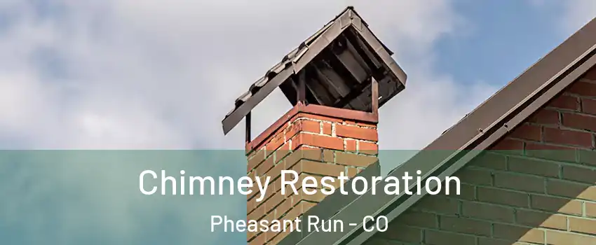 Chimney Restoration Pheasant Run - CO