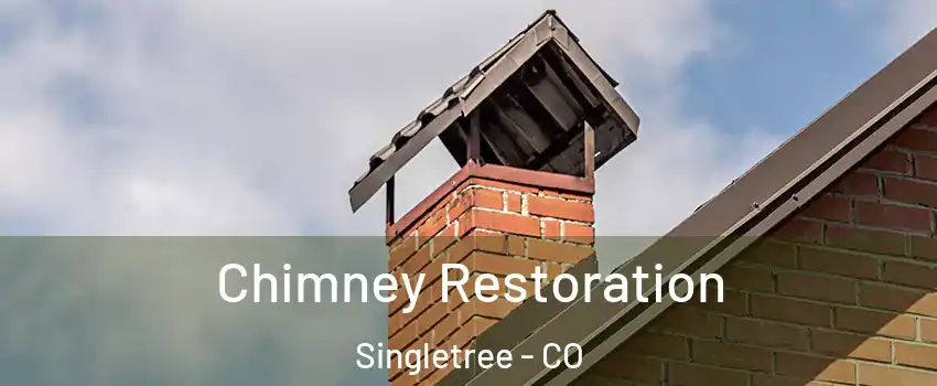 Chimney Restoration Singletree - CO