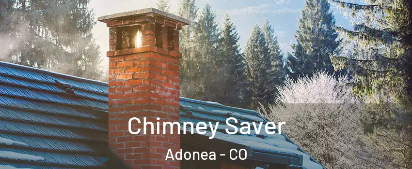 Chimney Saver Adonea - CO